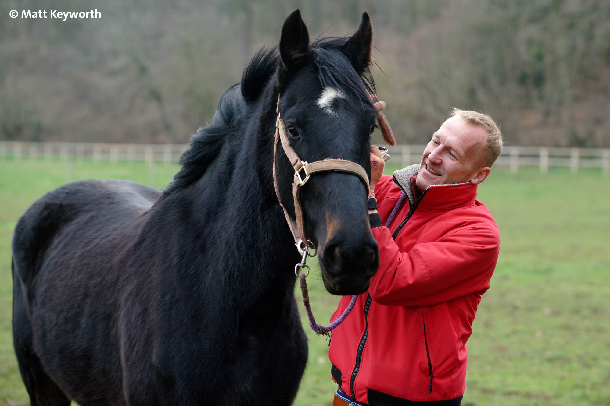 How I came to rehome Romeo