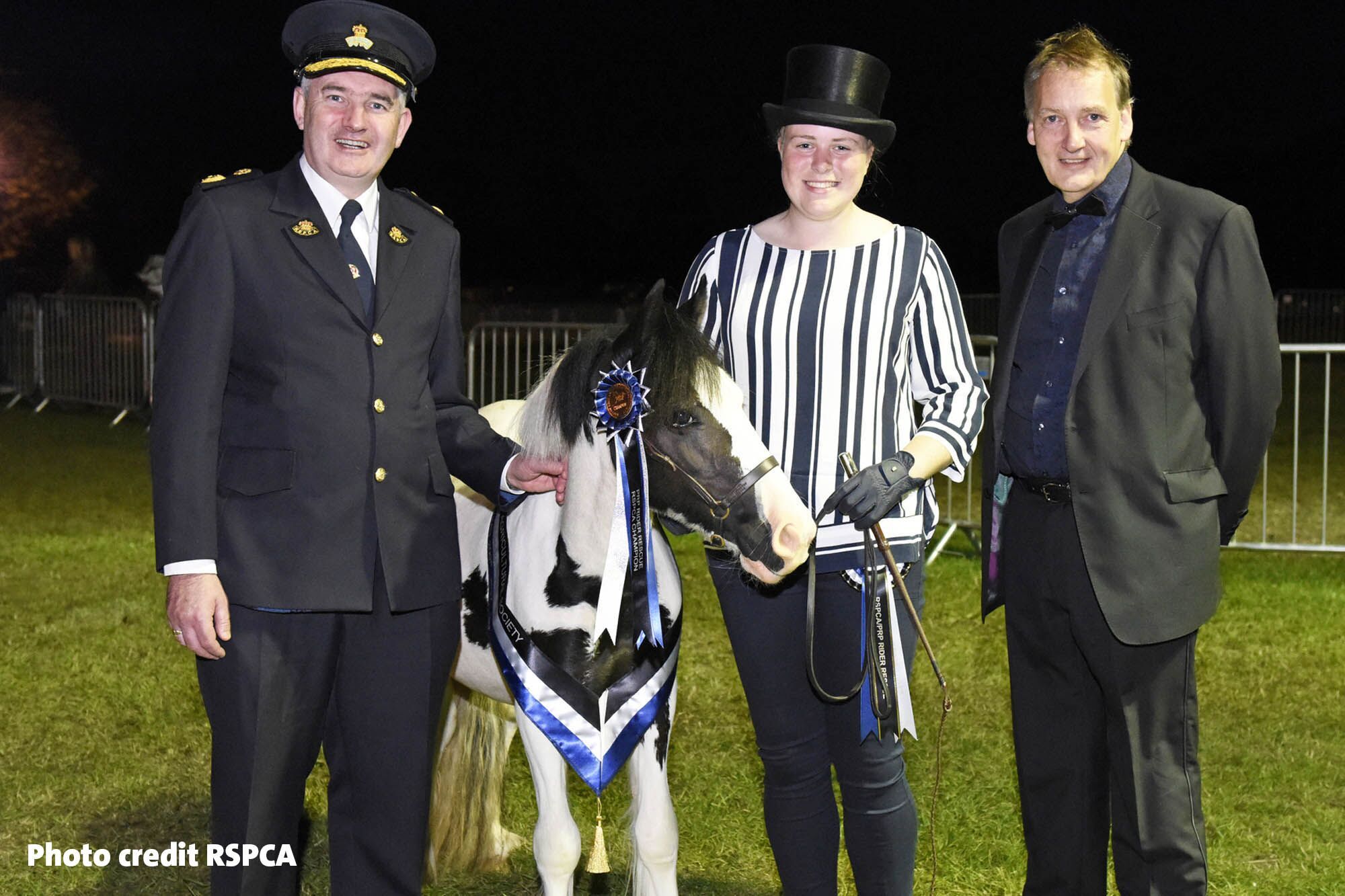 Pony found eaten alive by maggots is crowned show ring champion