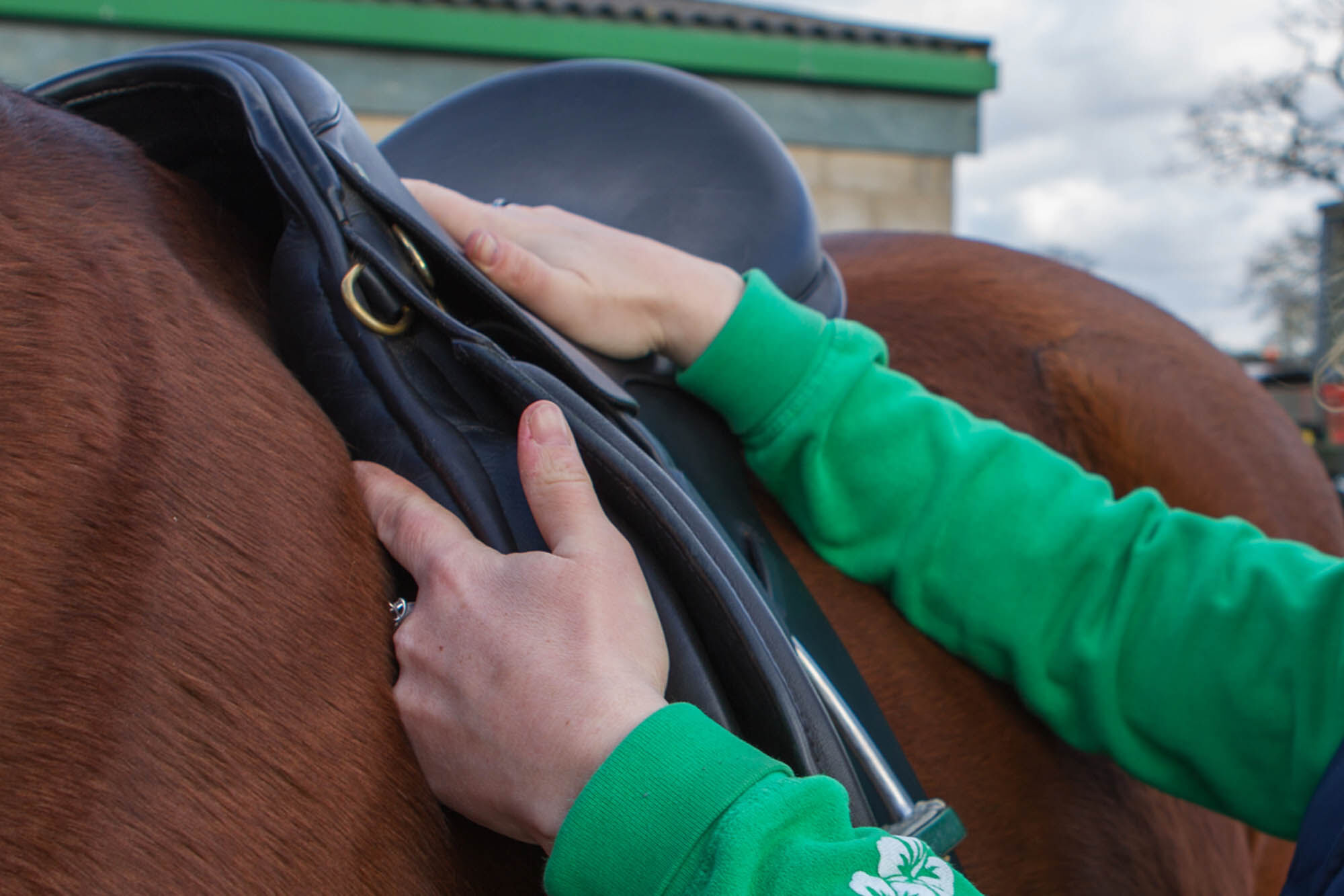 Saddle fitting, use and maintenance