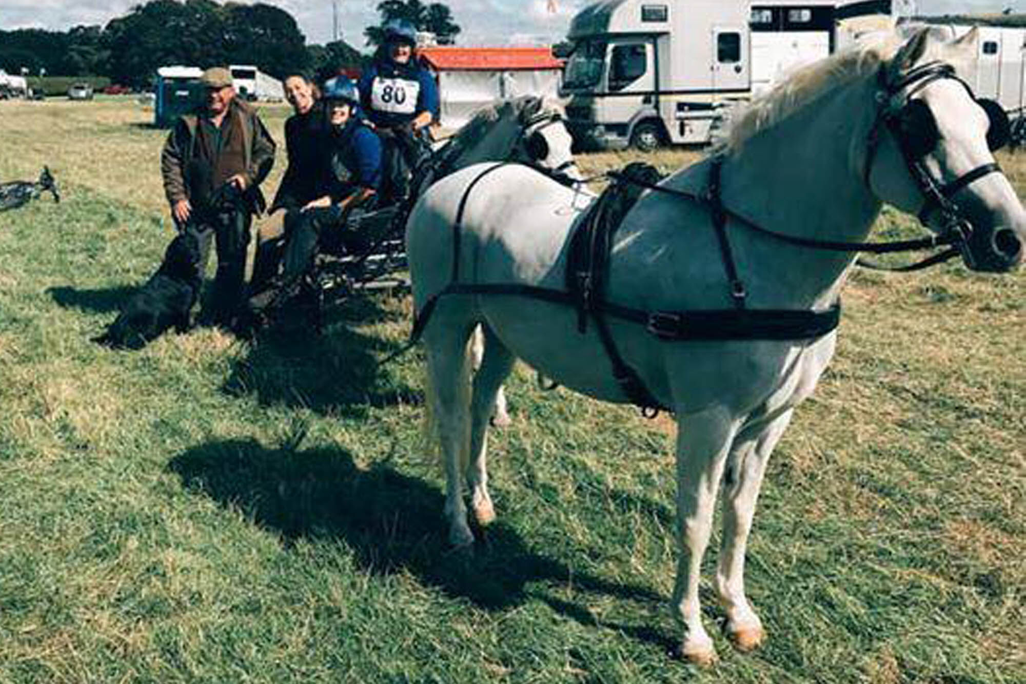 Rescue pony Yogi wins at National Carriage Driving Championships