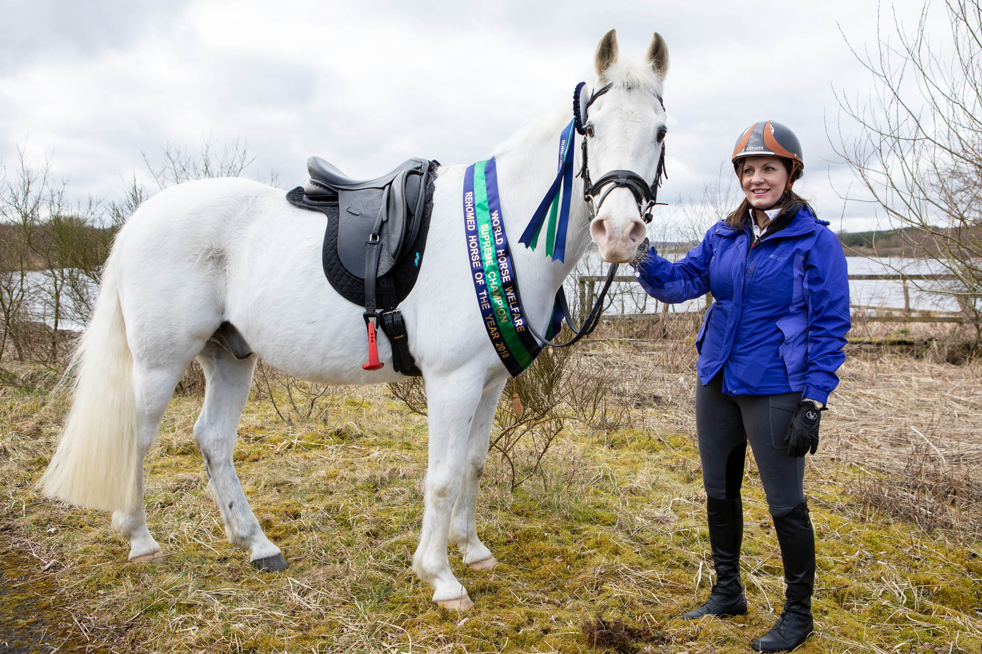 Rescue horse Tinto is Rehomed Horse of the Year 2018