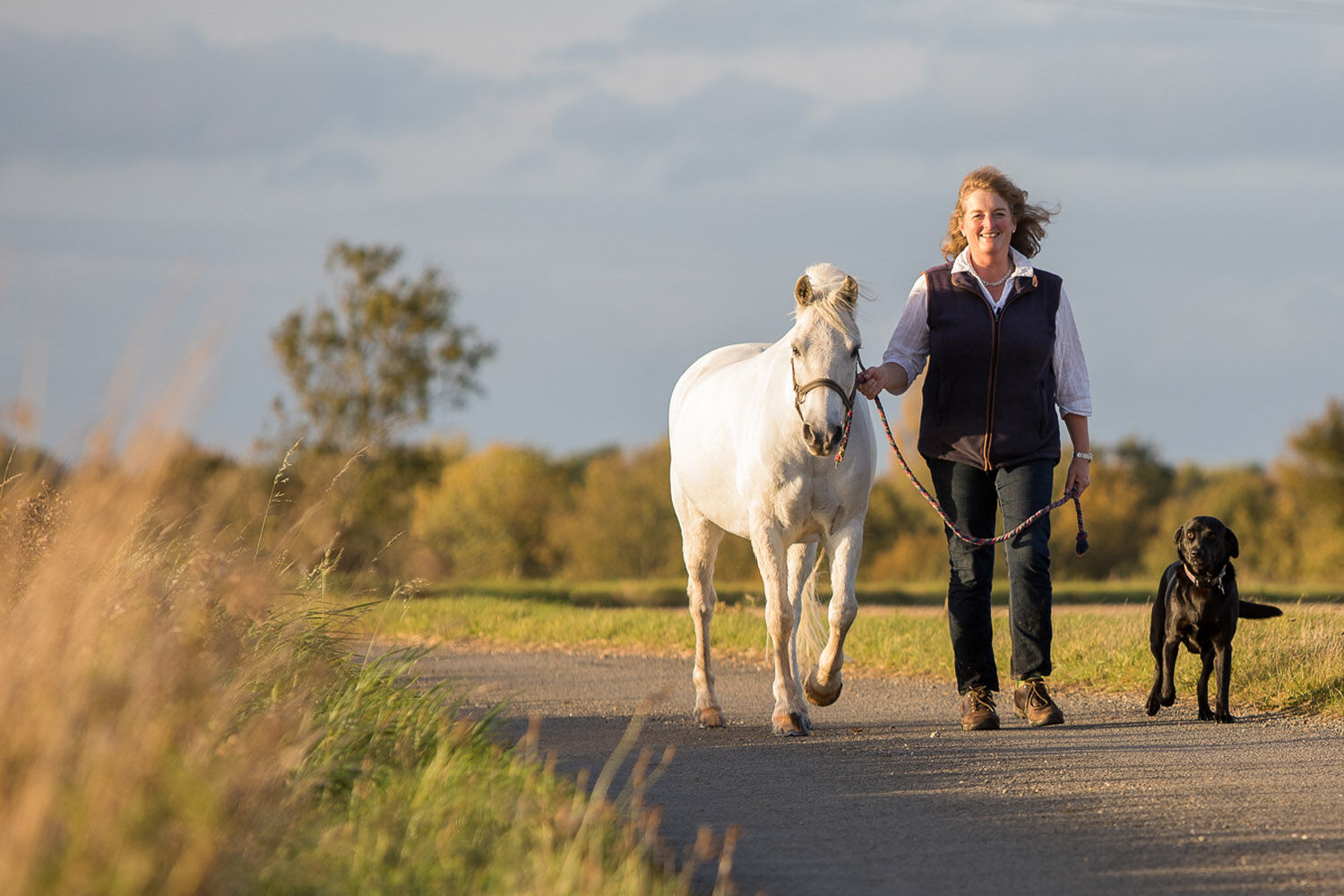 Rescue pony Yogi wins at National Carriage Driving Championships