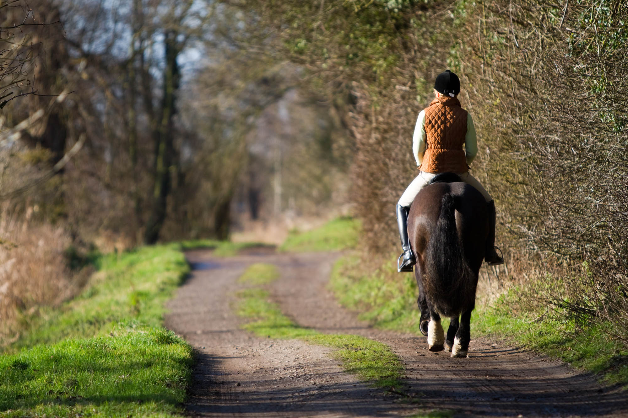 Spindles Farm, Amersham: the UK’s worst-ever case of horse welfare abuse