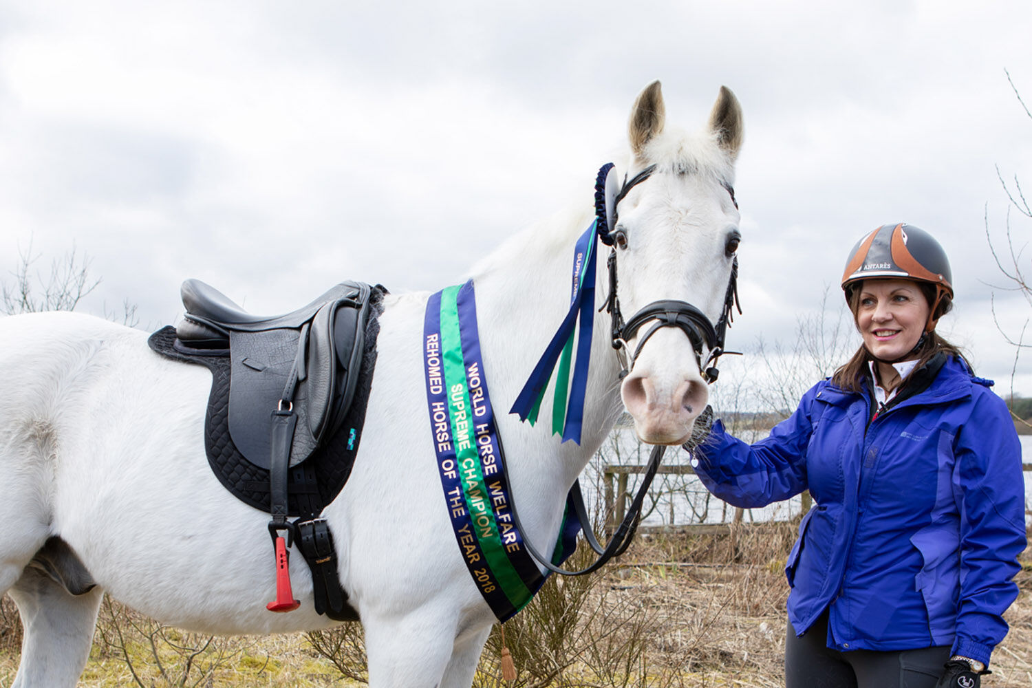 Rescue horse Tinto is Rehomed Horse of the Year 2018