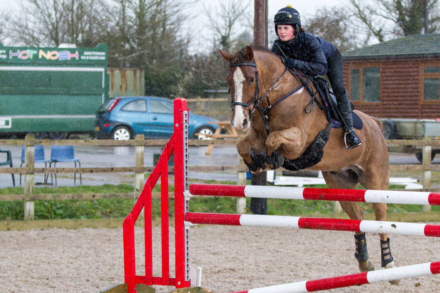 Rescue horse Harry’s winning ways with rehomer