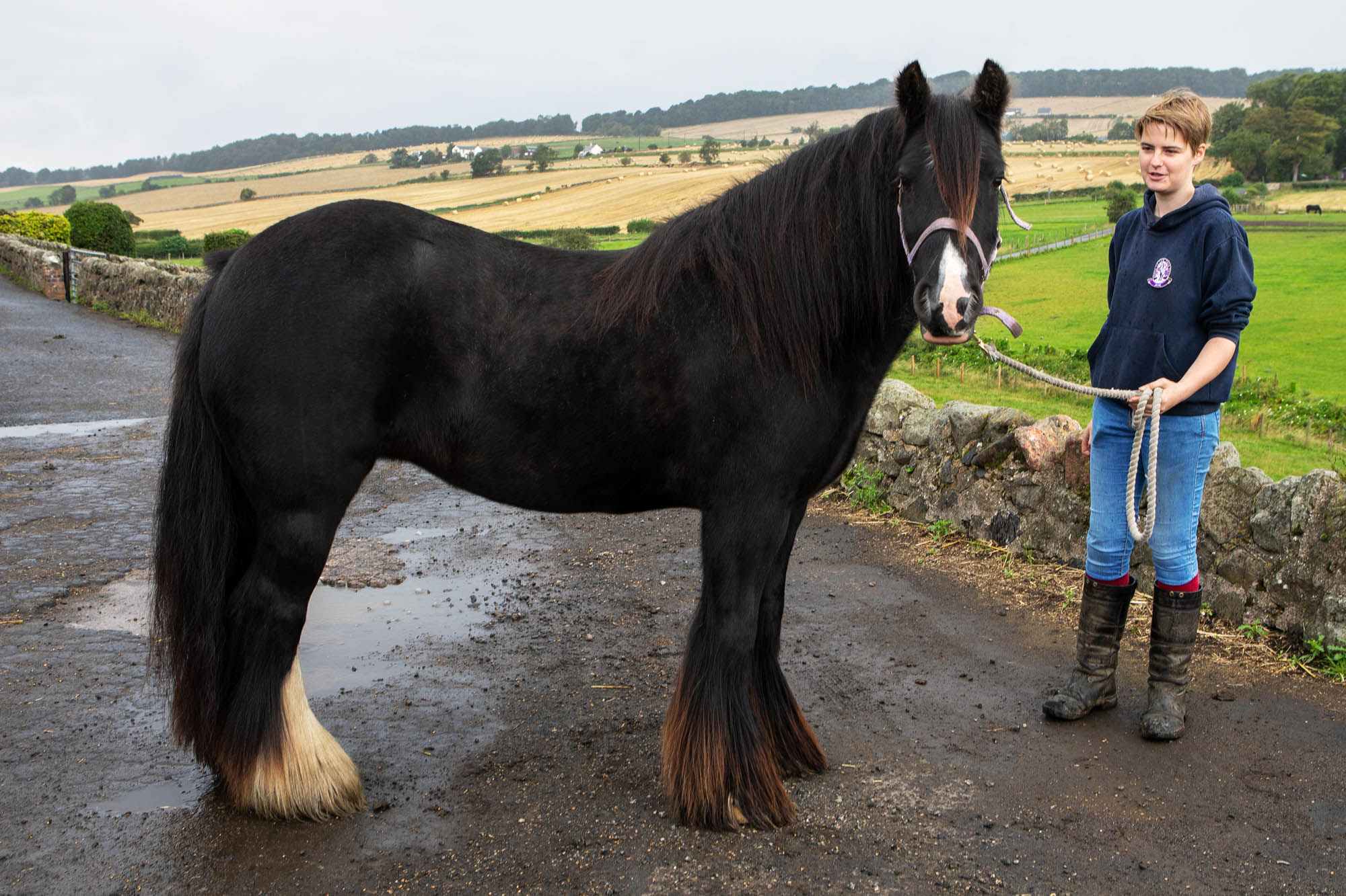 Nervous rescue pony Alicia becomes show ring star