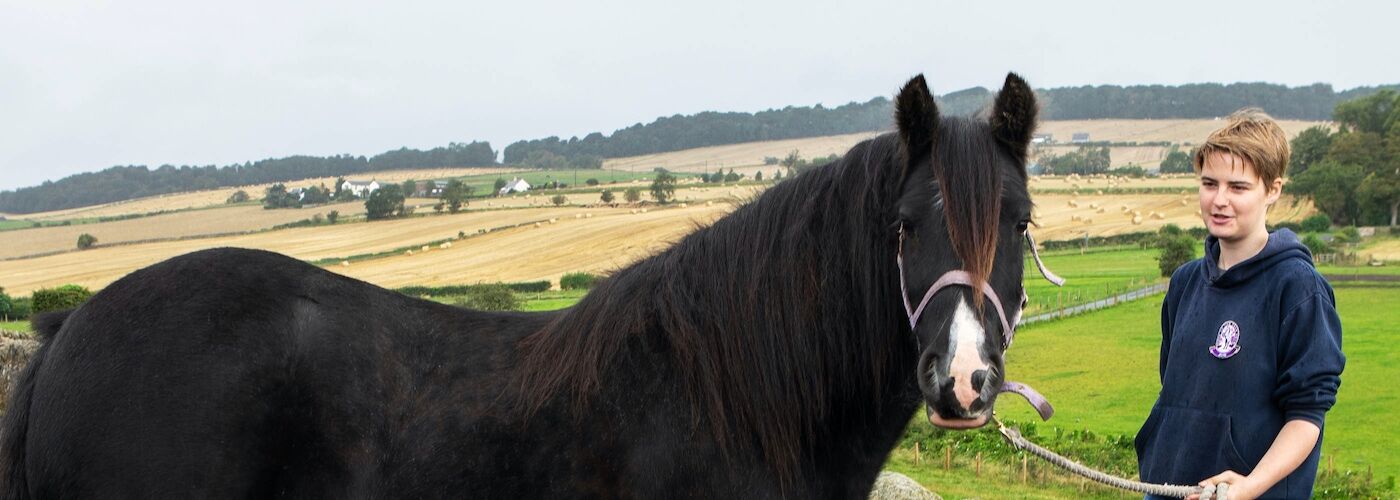 Nervous rescue pony Alicia becomes show ring star