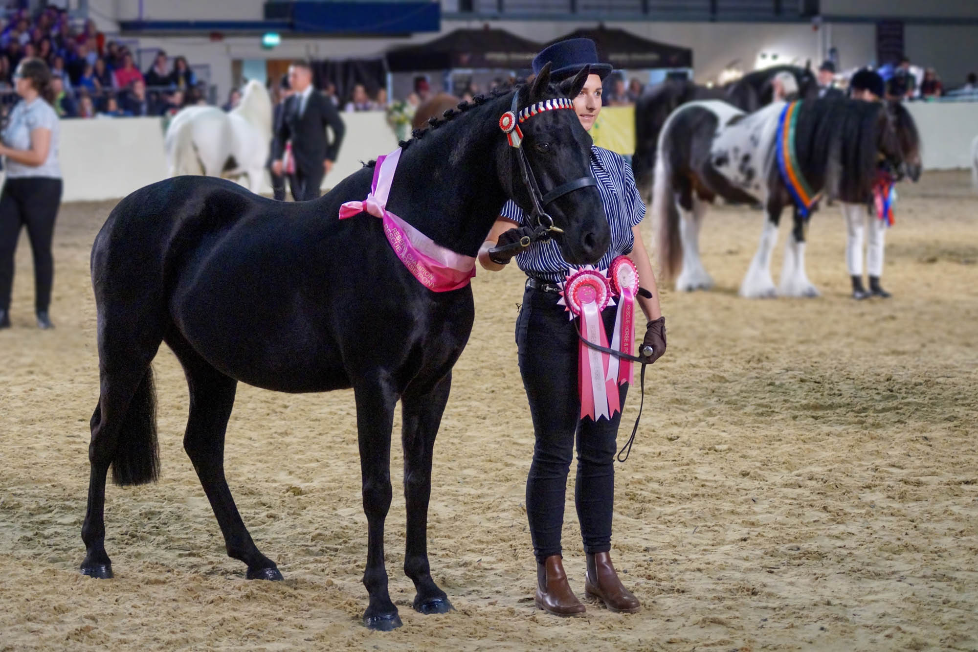 Rescue pony Clyde shows how your donation can help transform horses’ lives this winter