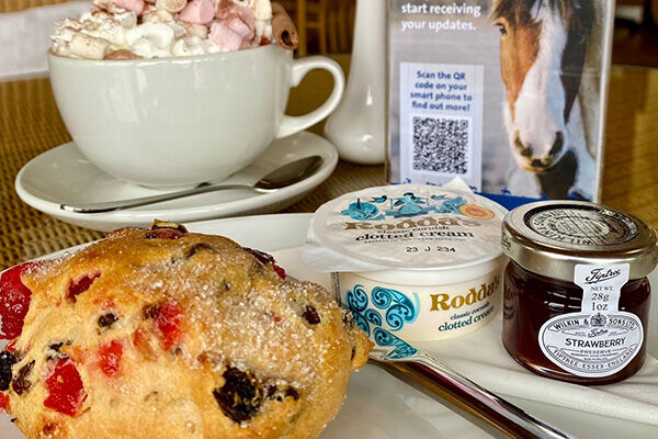 A raisin scone with a pot of jam beside it. In the background is a hot chocolate with whipped cream and marshmallows.