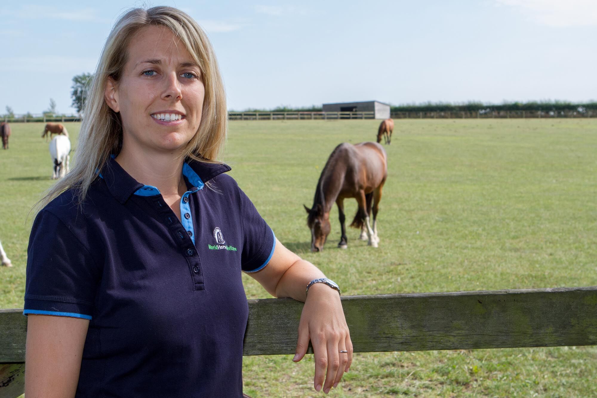 Laminitis: what is it, why do horses get it, and how is it treated?