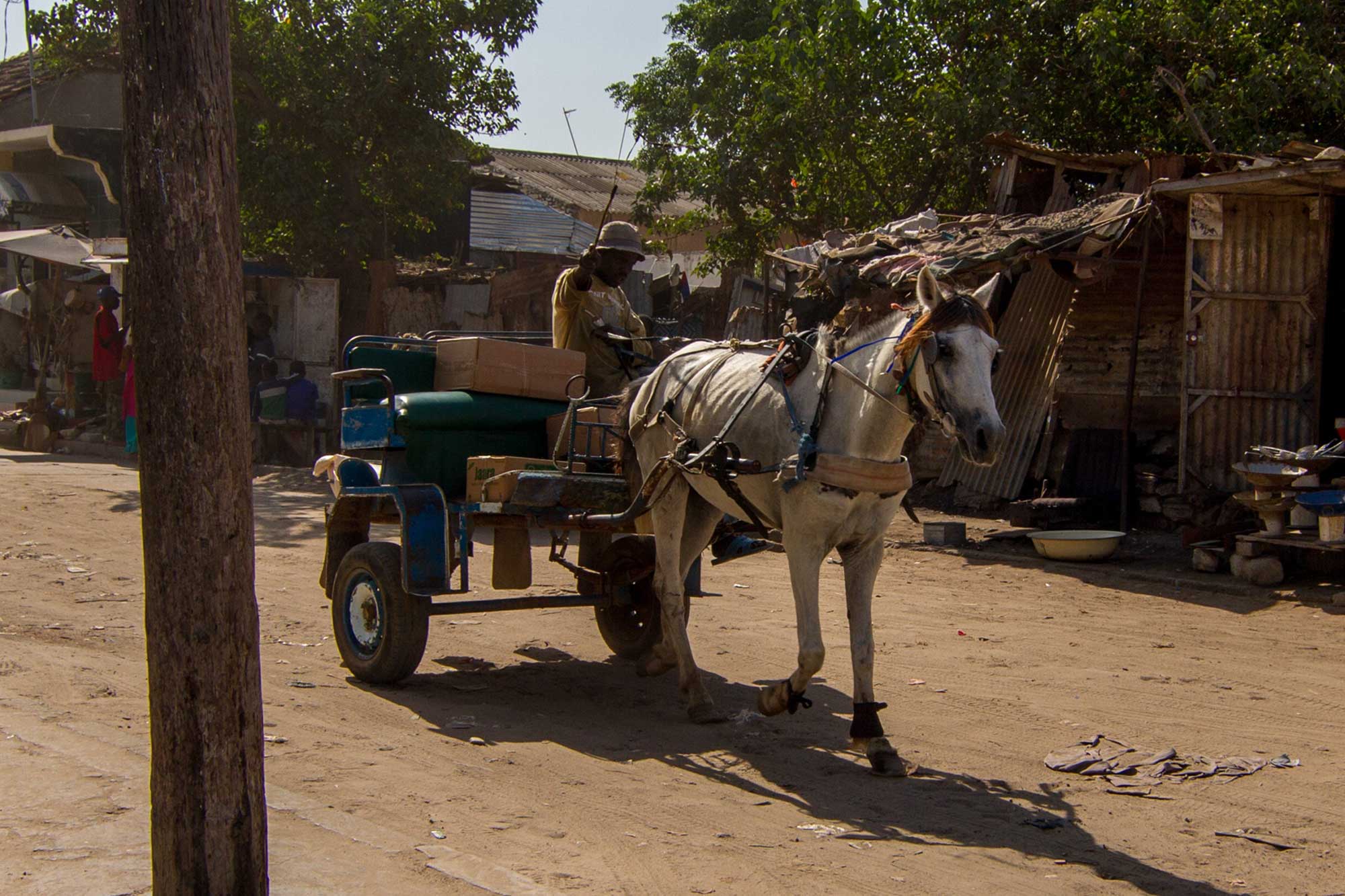 Equine charities invite stakeholders to UN event