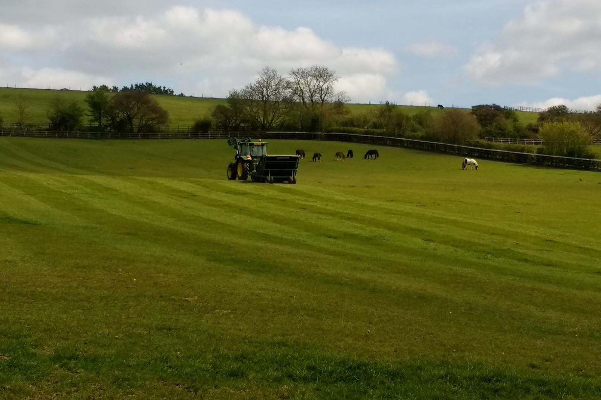 Pasture management for horse paddocks