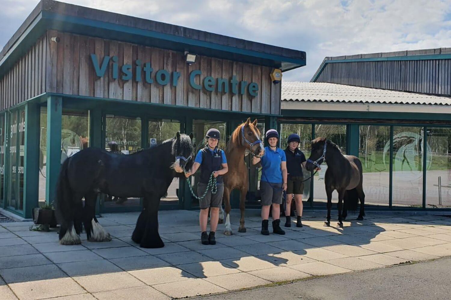 Rescue and Rehoming Centres reopening to the public on the 18th of August