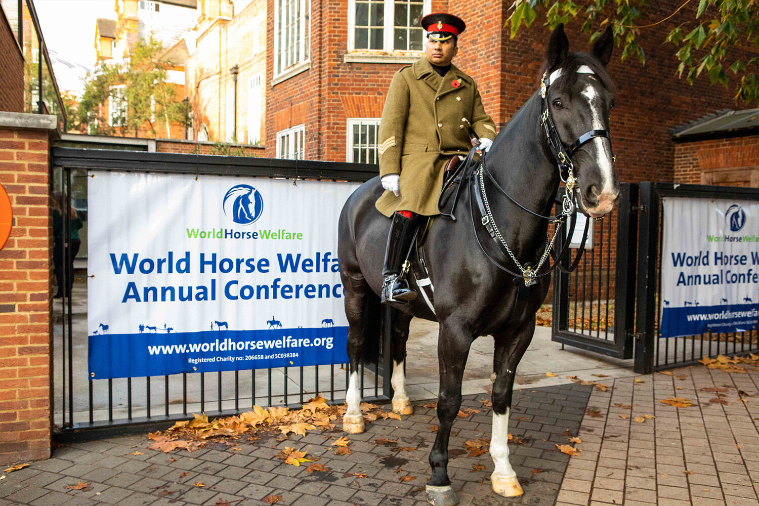 International equine conference considers: Whose opinion matters?