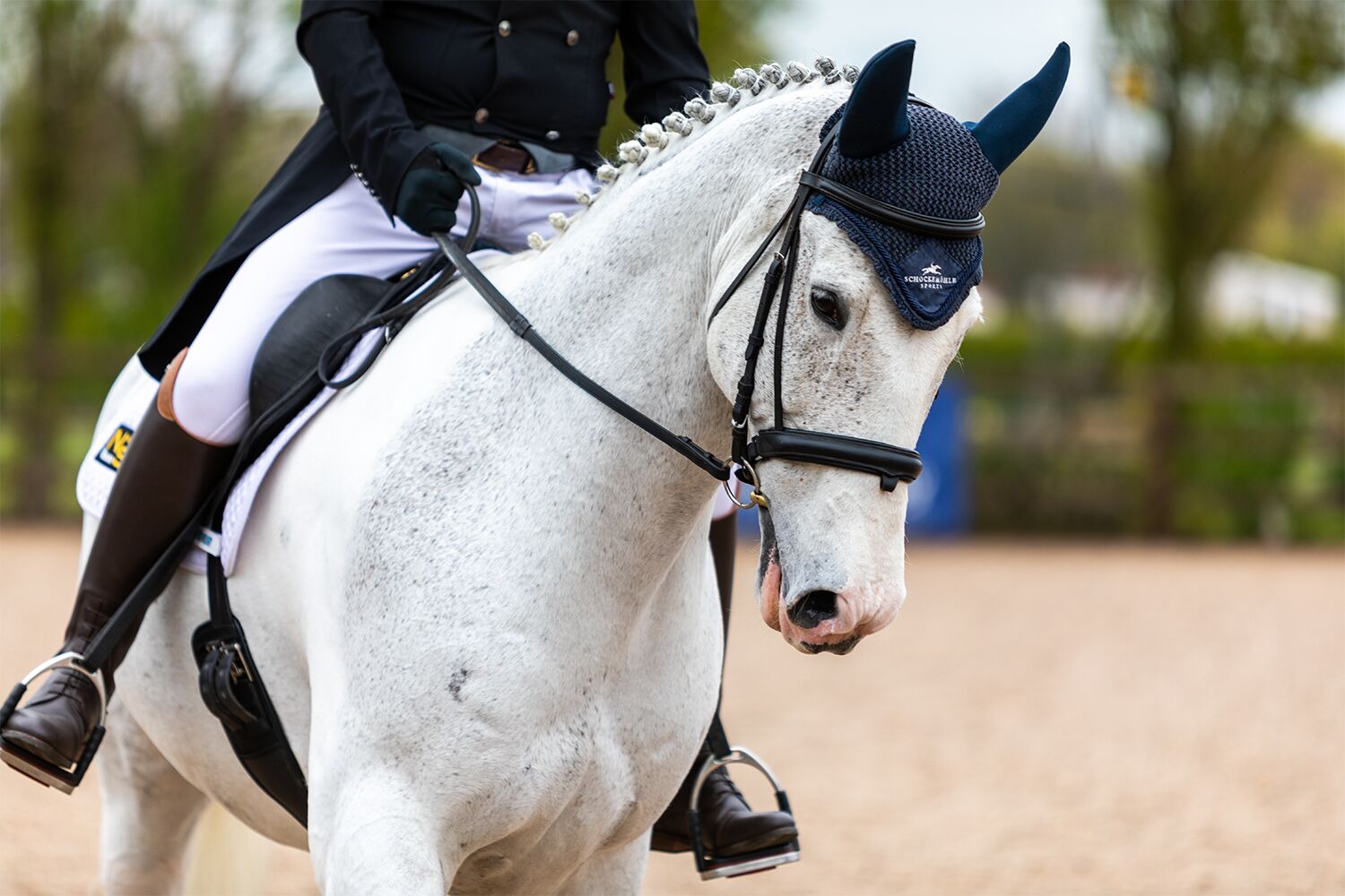 Equestrian Sport discuss challenges and opportunities around public perception of welfare in sport 