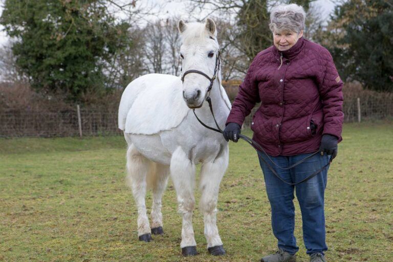 Woman leading white horse in field