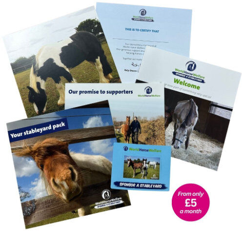 Sponsor a stableyard welcome pack literature