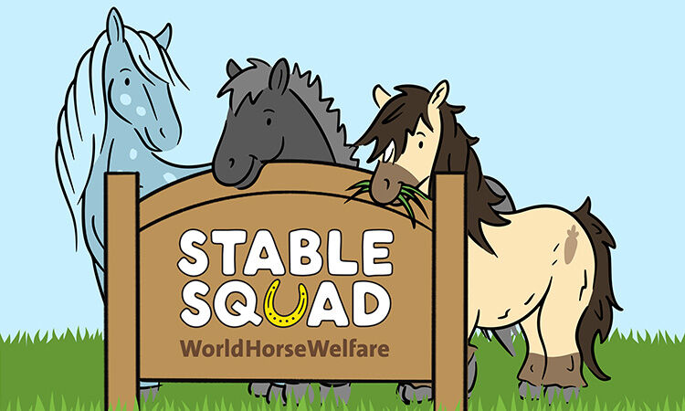 Join our Stable Squad