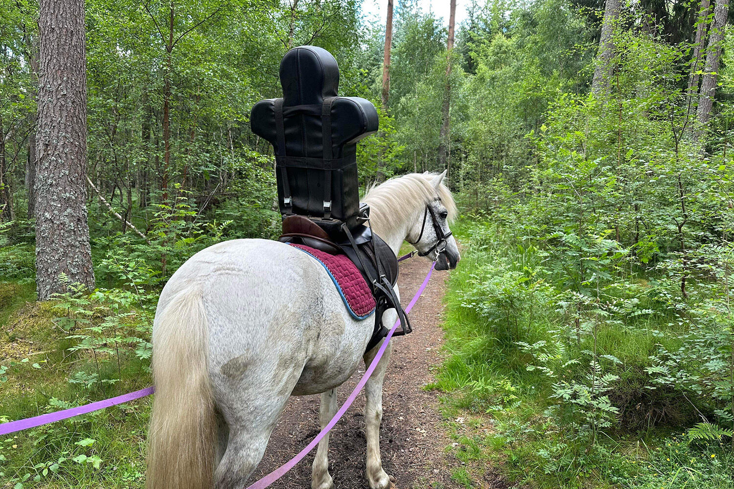 What is a dummy rider and how do we use them on our farms?