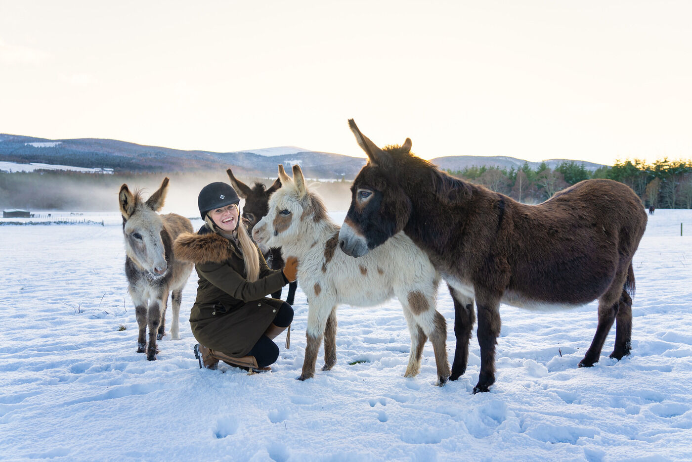 Little donkeys shine a light on our Christmas appeal