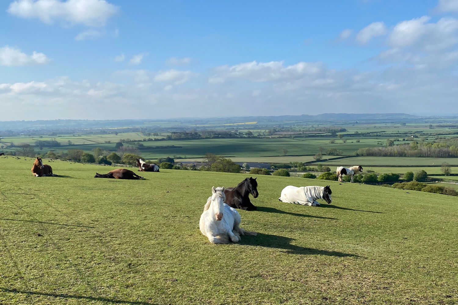 Guided walk at Glenda Spooner Farm