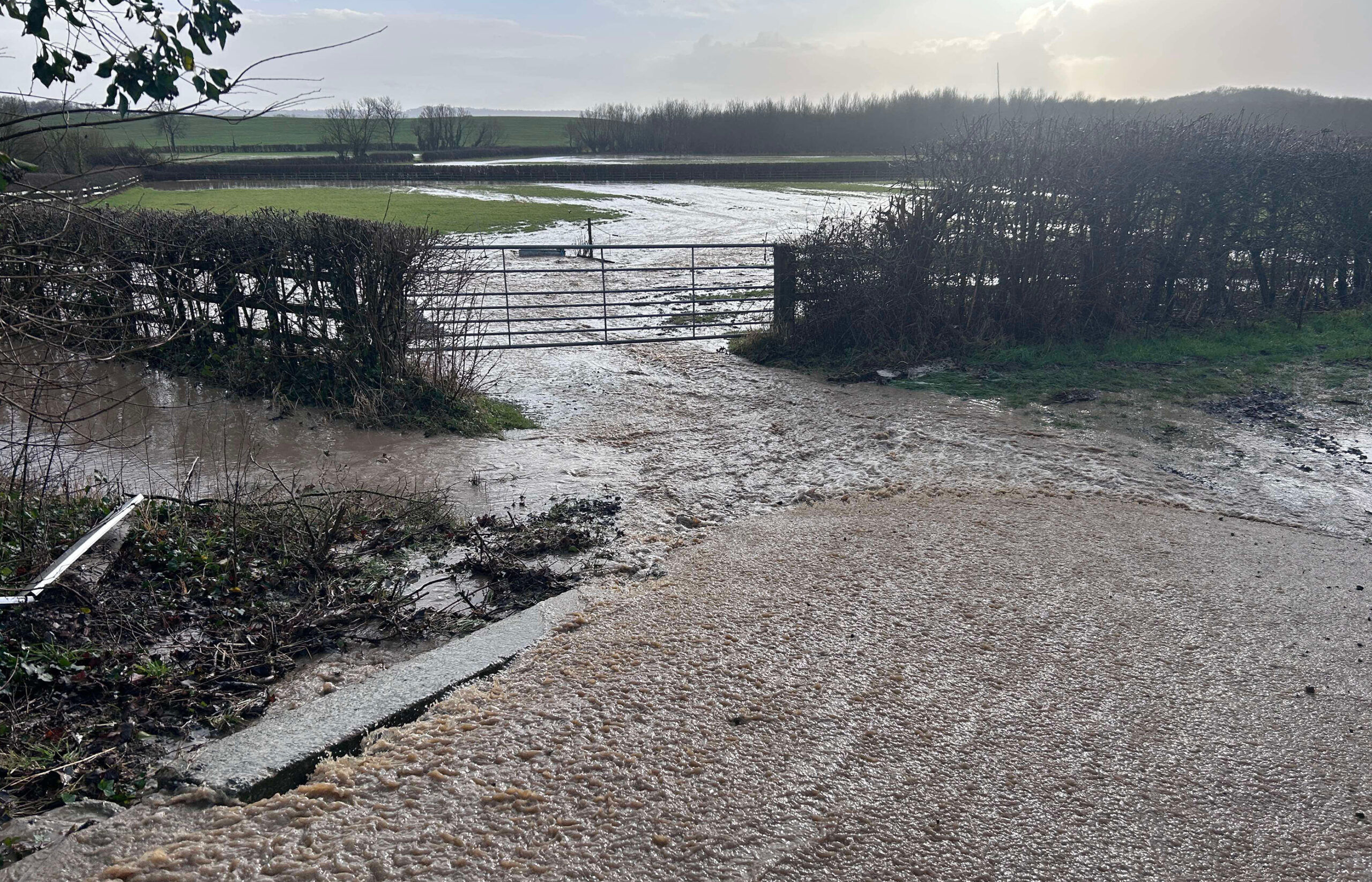 Flooding and preparing horse paddocks for wet winters