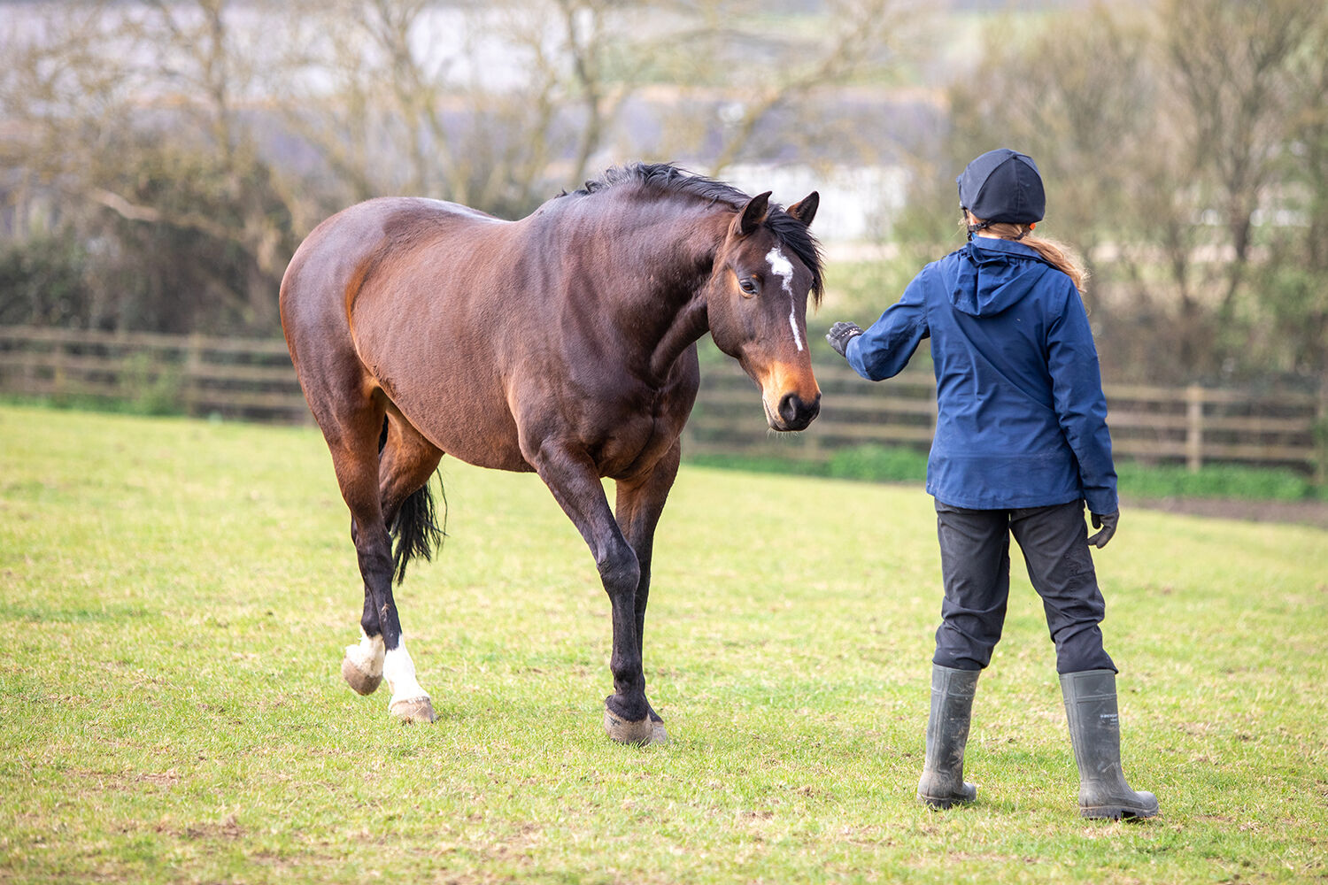 Cooperative care: is your horse an active participant in their husbandry? 