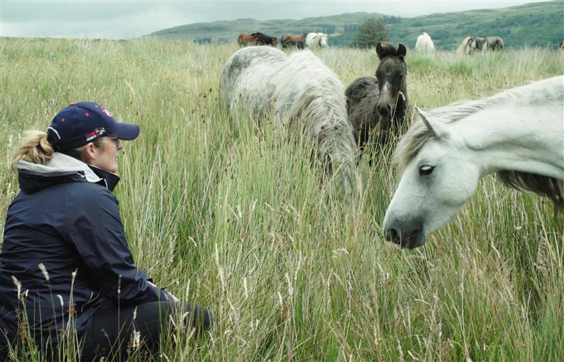 Wild Wisdom: Enhancing horse enrichment 