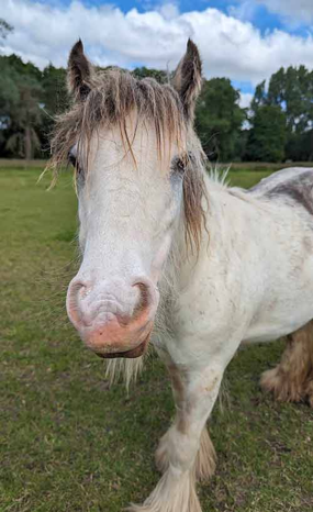 Headshot of Amica