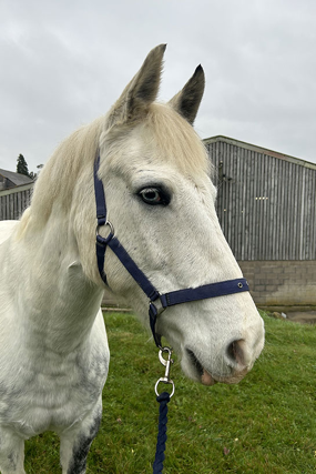 Headshot of Leonard