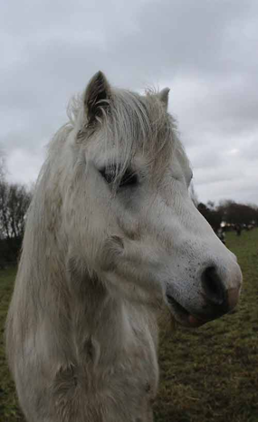 Headshot of Eenie