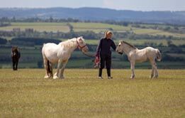 Glenda Spooner Farm